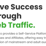 u37-Screenshot-2025-10-06-at-11-18-12-Web-Traffic-Service-Traffics.io_