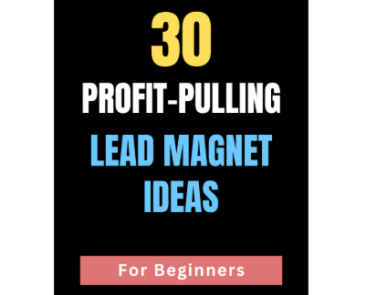 u15-PLR-30-Profit-Pulling-Lead-Magnet-Ideas-For-Beginners