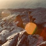 u59-pexels-photo-1687529