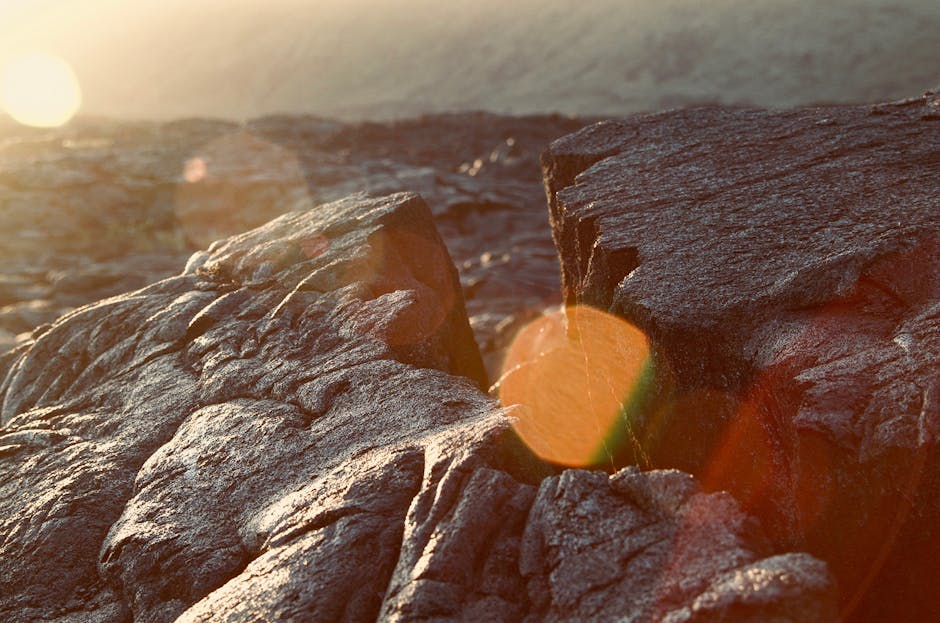 u59-pexels-photo-1687529